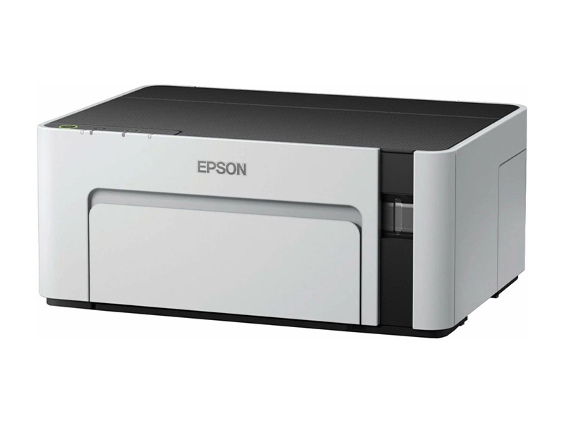 Принтер Epson M1100